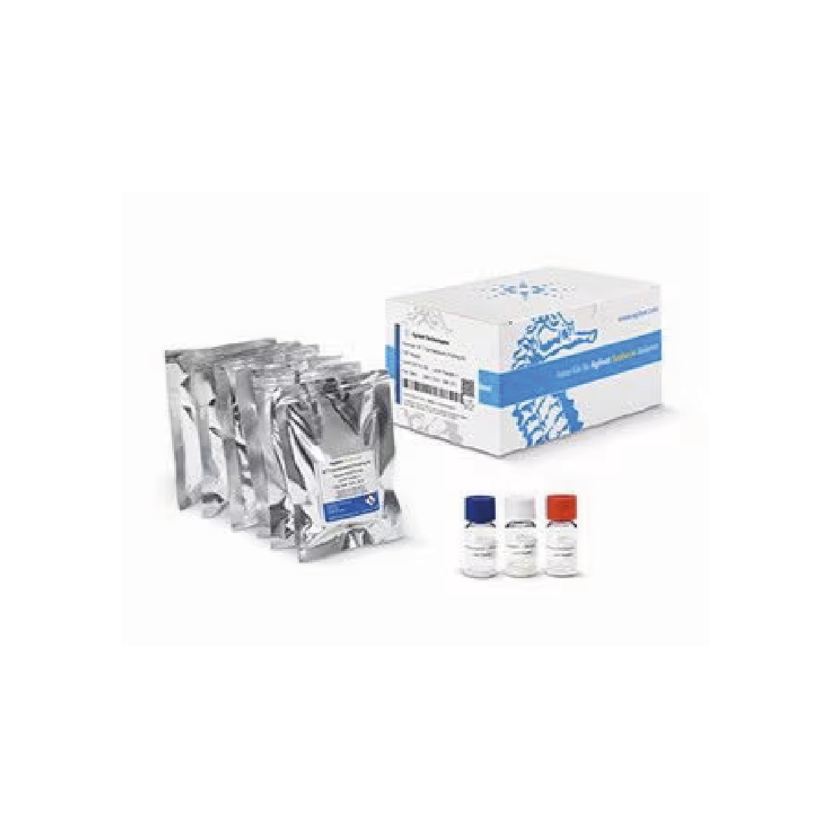 T Cell Metabollic Profiling kit