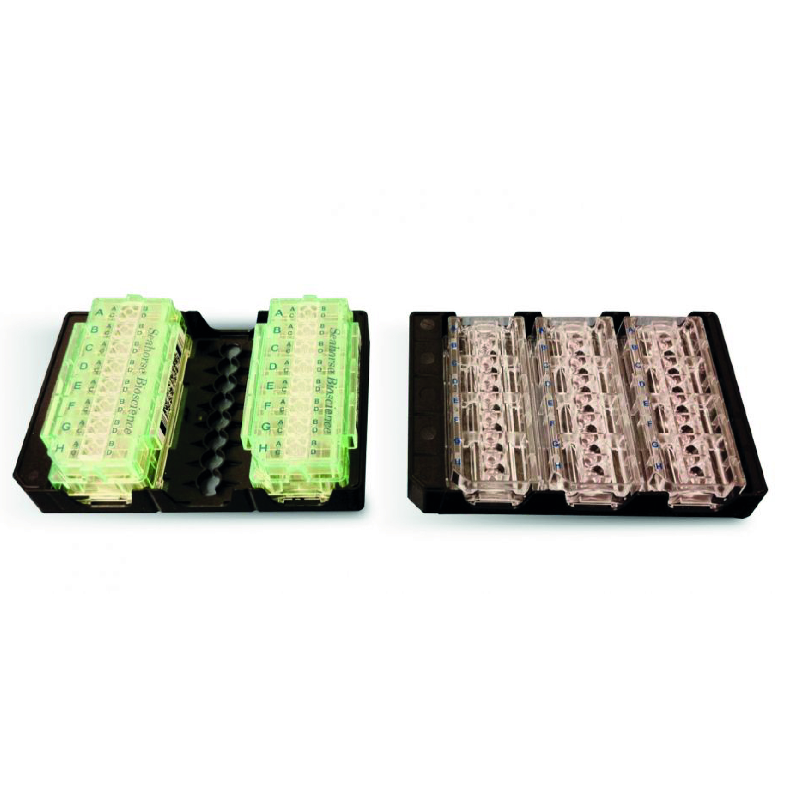 Seahorse XFp Carrier Tray