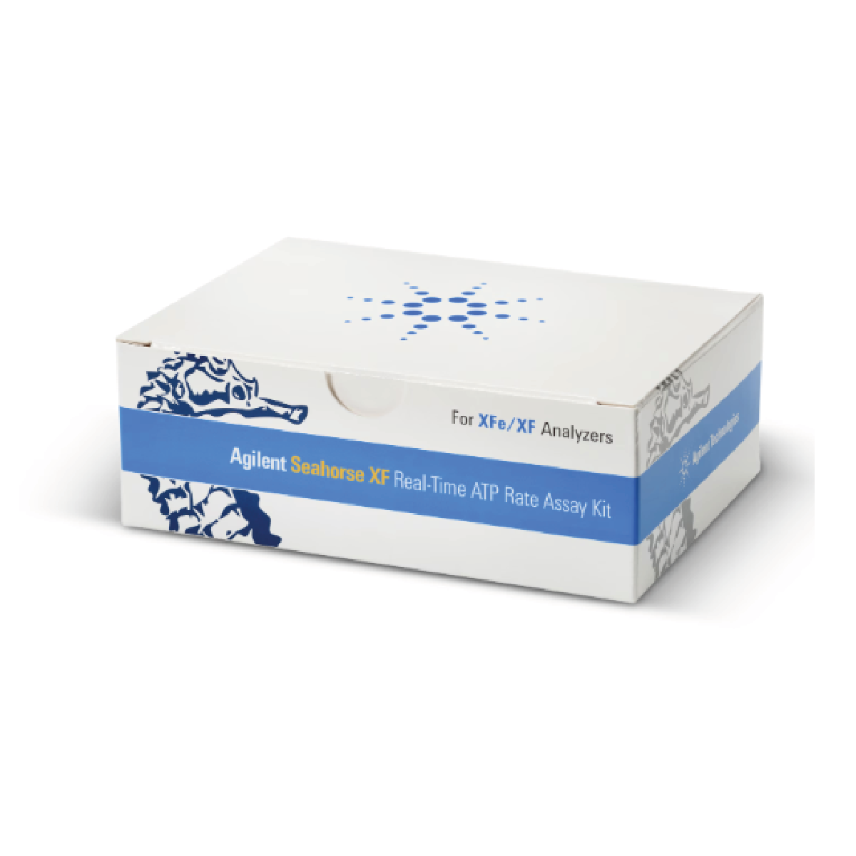 Seahorse ATP Real-Time Rate Assay