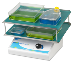 Kývačka BR5000 Everlast Rocker 247